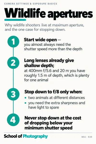Wildlife apertures cheat sheet